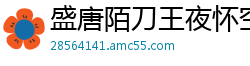 盛唐陌刀王夜怀空